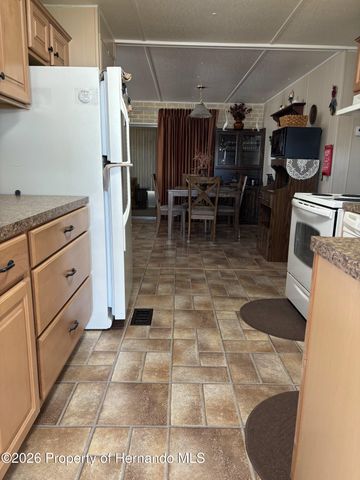 12389 Conde Drive, Brooksville, FL 34613