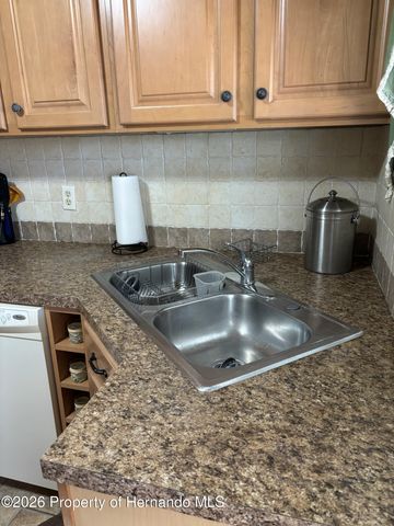 12389 Conde Drive, Brooksville, FL 34613