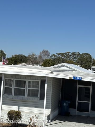 12389 Conde Drive, Brooksville, FL 34613