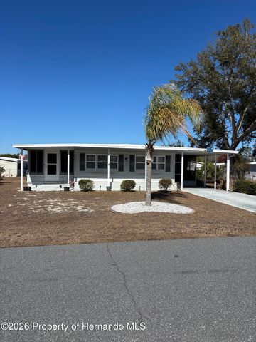 12389 Conde Drive, Brooksville, FL 34613