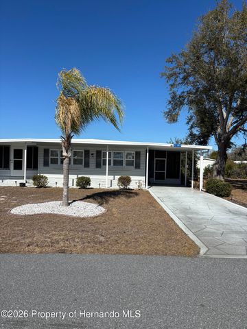 12389 Conde Drive, Brooksville, FL 34613