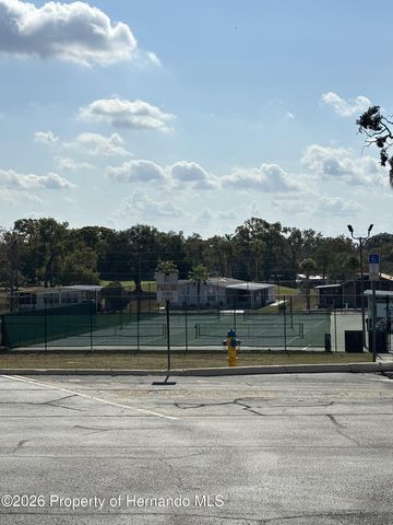 12389 Conde Drive, Brooksville, FL 34613