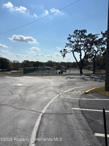 12389 Conde Drive, Brooksville, FL 34613