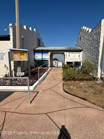 12389 Conde Drive, Brooksville, FL 34613