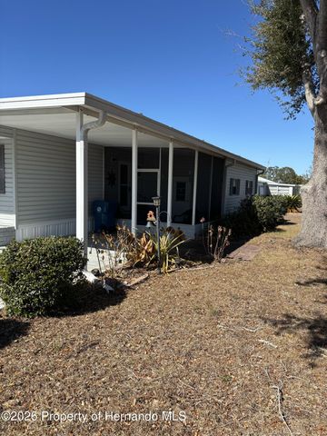 12389 Conde Drive, Brooksville, FL 34613