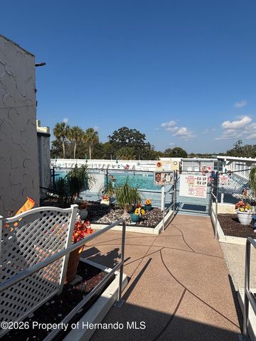 12389 Conde Drive, Brooksville, FL 34613