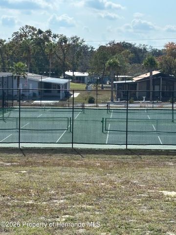 12389 Conde Drive, Brooksville, FL 34613