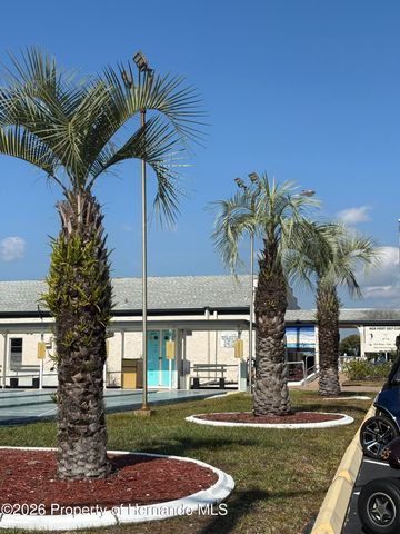 12389 Conde Drive, Brooksville, FL 34613