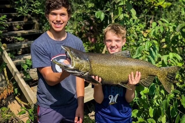 923 W Montclaire AVENUE, Glendale, WI 53217