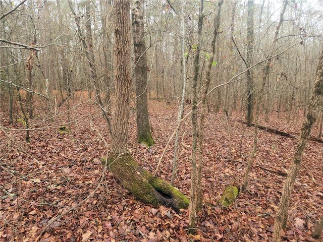 00 Scott Lane, Pelzer, SC 29669