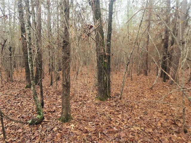 00 Scott Lane, Pelzer, SC 29669