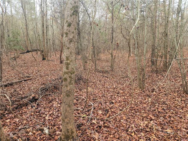 00 Scott Lane, Pelzer, SC 29669