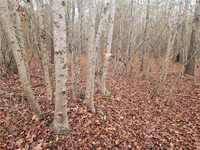 00 Scott Lane, Pelzer, SC 29669