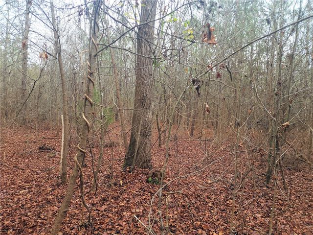 00 Scott Lane, Pelzer, SC 29669
