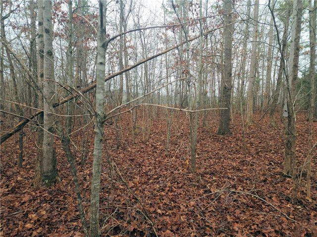 00 Scott Lane, Pelzer, SC 29669