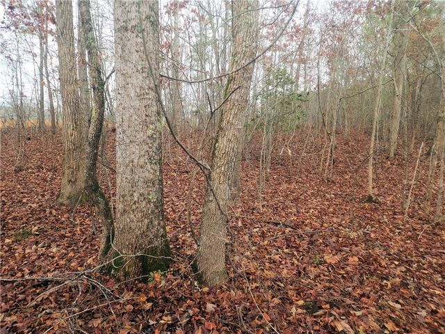 00 Scott Lane, Pelzer, SC 29669