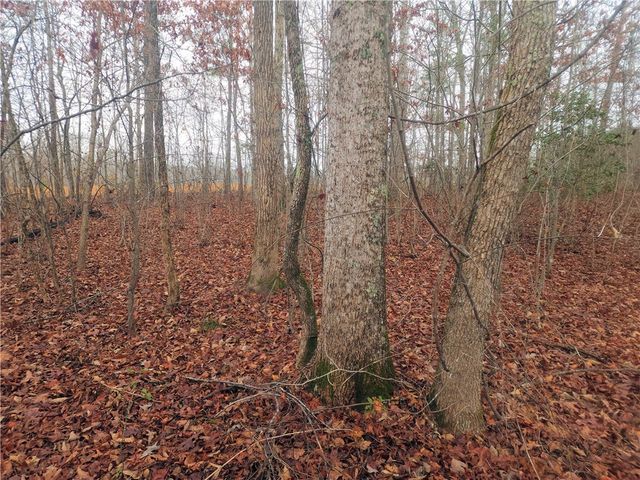 00 Scott Lane, Pelzer, SC 29669
