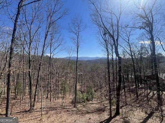 31 Haley Drive, Cherry Log, GA 30522