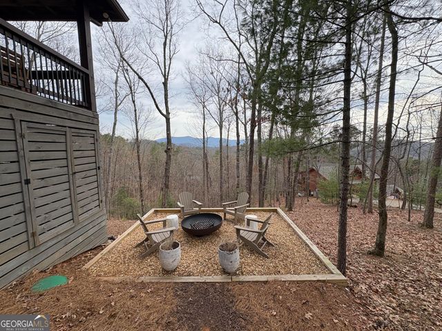 31 Haley Drive, Cherry Log, GA 30522