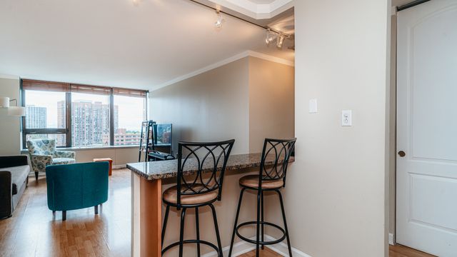 3930 N Pine Grove Avenue 1205, Chicago, IL 60613