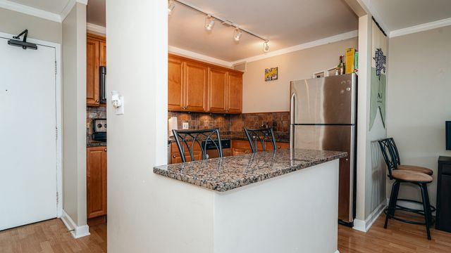 3930 N Pine Grove Avenue 1205, Chicago, IL 60613