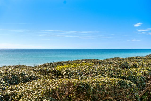 1848 E County Highway 30A UNIT 20, Santa Rosa Beach, FL 32459
