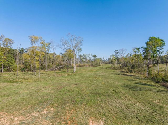 Lot 13 Fm 350 N, Livingston, TX 77351