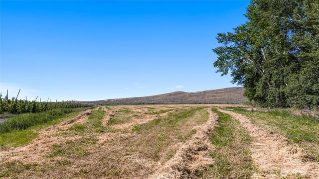 1 Borland, Ellensburg, WA 98926