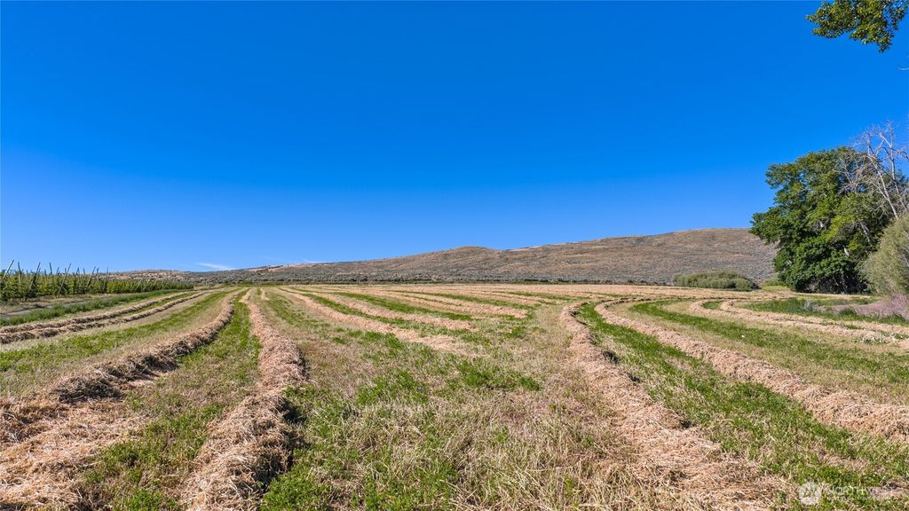 1 Borland, Ellensburg, WA 98926