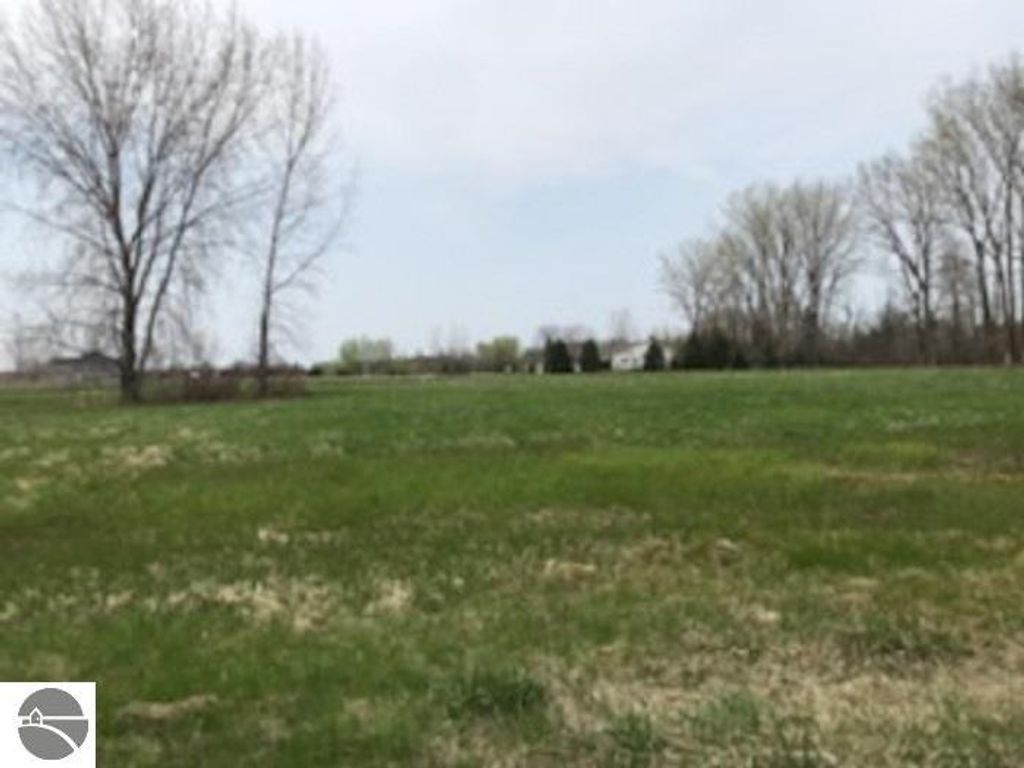 Open grassy land with trees, potential building site at N/A South Street, Au Gres, MI, featuring 360' of road frontage, nearby utilities, and local amenities.