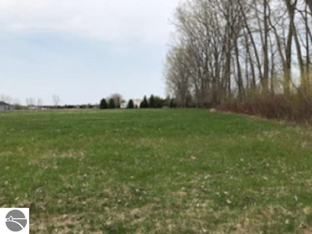 Open grassy land for sale at N/A South Street, Au Gres, MI, with trees along the perimeter and potential building site.