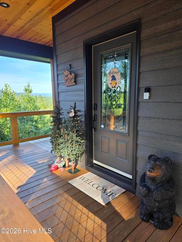 455 Point Overlook Trail, Murphy, NC 28906