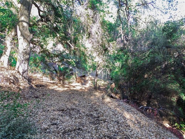 0 Live Oak Canyon Road, La Verne, CA 91750