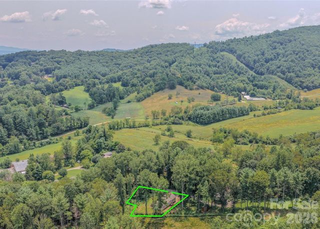 17 Berry Hill Road, Asheville, NC 28806