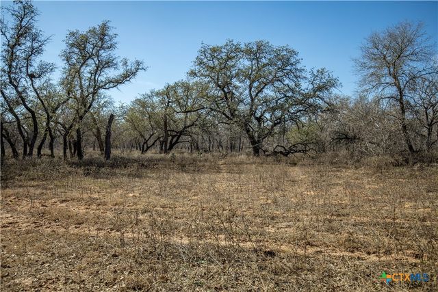 1387 County Road 304, Floresville, TX 78114