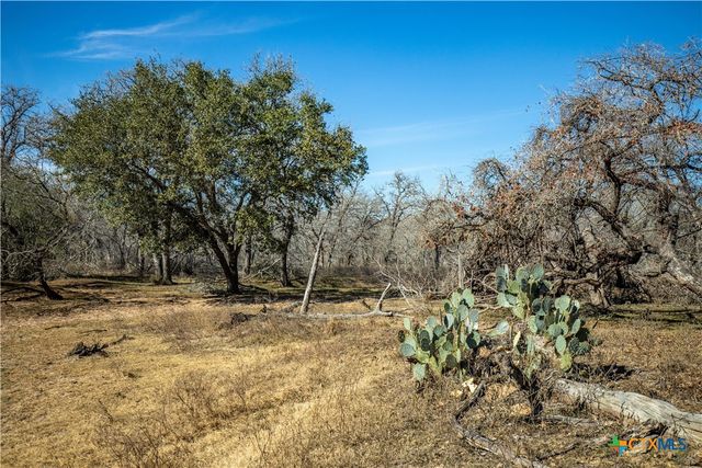 1387 County Road 304, Floresville, TX 78114