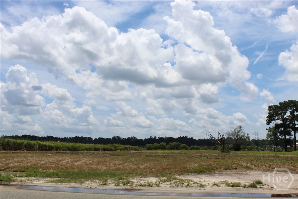 24 Jerico Marsh Lot 24 Road, Midway, GA 31320