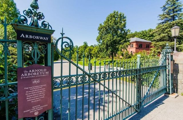 76 Elm Street PH 404, Boston, MA 02130