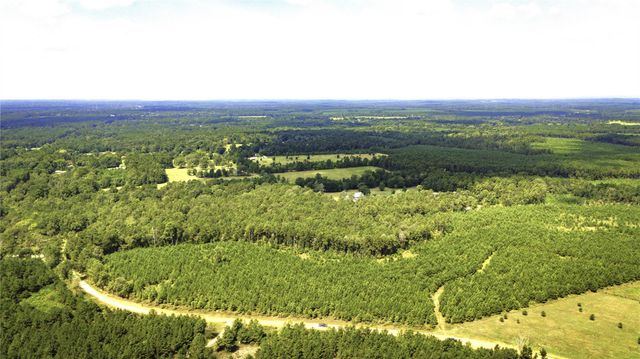 TBD Stutts Hill Road, Livingston, TX 77351