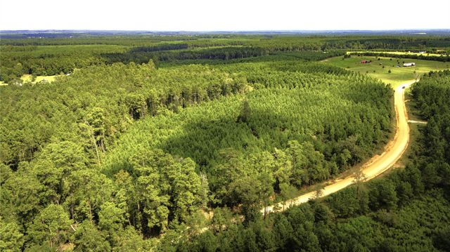 TBD Stutts Hill Road, Livingston, TX 77351