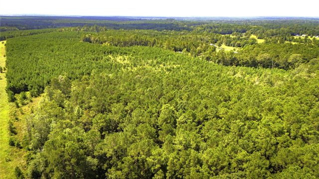 TBD Stutts Hill Road, Livingston, TX 77351