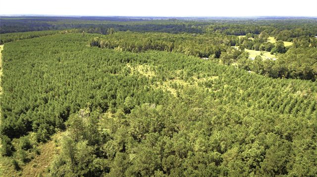 TBD Stutts Hill Road, Livingston, TX 77351