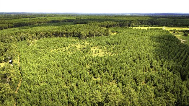 TBD Stutts Hill Road, Livingston, TX 77351