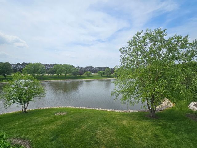 2503 Sheehan Drive 201, Naperville, IL 60564