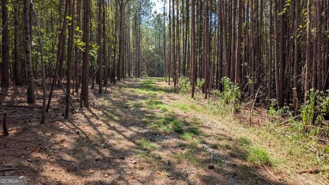 1158 Ballard Rd, Ball Ground, GA 30107