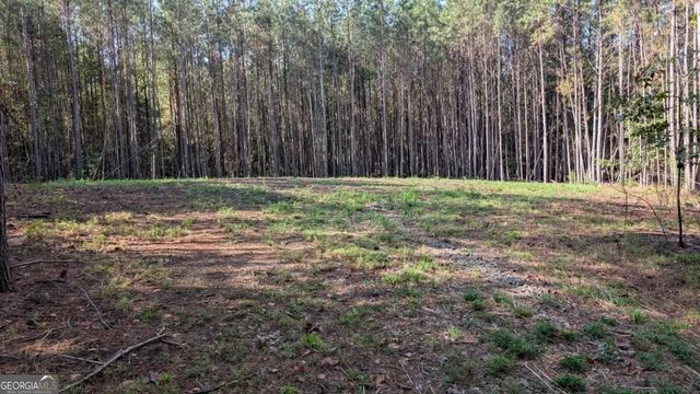 1158 Ballard Rd, Ball Ground, GA 30107