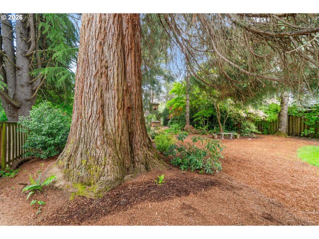 2117 C St, Forest Grove, OR 97116