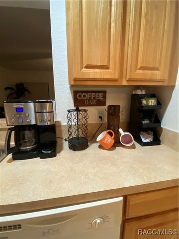 2131 N Pine Cone Avenue, Lecanto, FL 34461