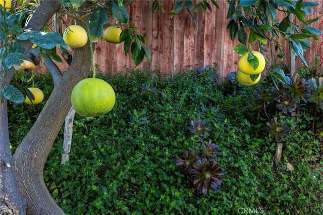 10022 Chula Vista Way, Riverside, CA 92503