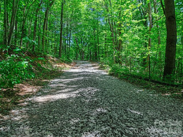 9999 Lovebird Lane 20, Candler, NC 28715